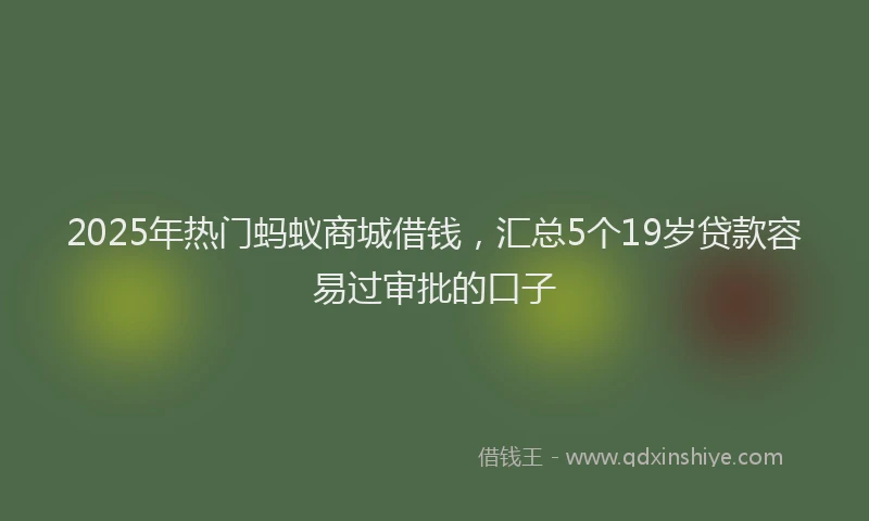 2025年热门蚂蚁商城借钱，汇总5个19岁贷款容易过审批的口子
