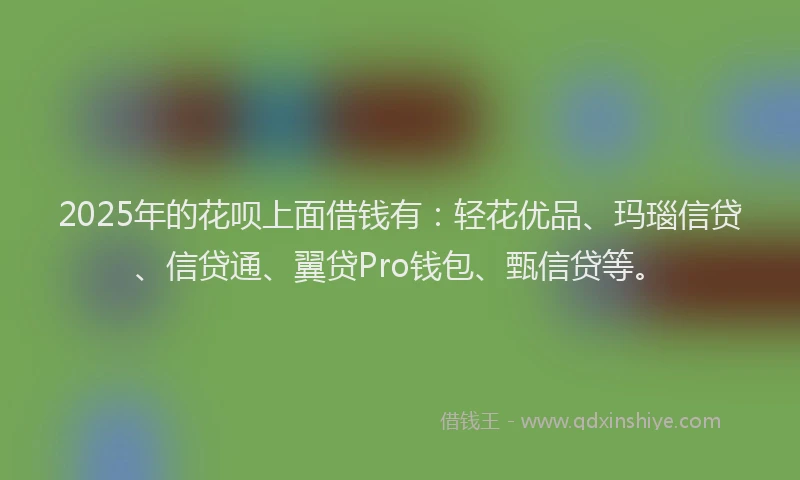 2025年的花呗上面借钱有：轻花优品、玛瑙信贷、信贷通、翼贷Pro钱包、甄信贷等。