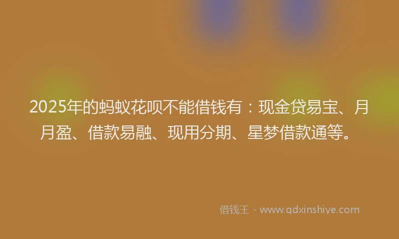 2025年的蚂蚁花呗不能借钱有：现金贷易宝、月月盈、借款易融、现用分期、星梦借款通等。