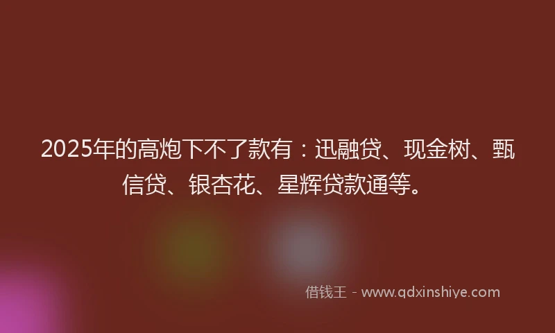 2025年的高炮下不了款有：迅融贷、现金树、甄信贷、银杏花、星辉贷款通等。