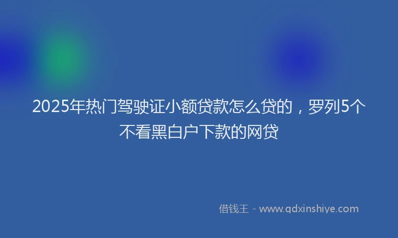 2025年热门驾驶证小额贷款怎么贷的，罗列5个不看黑白户下款的网贷