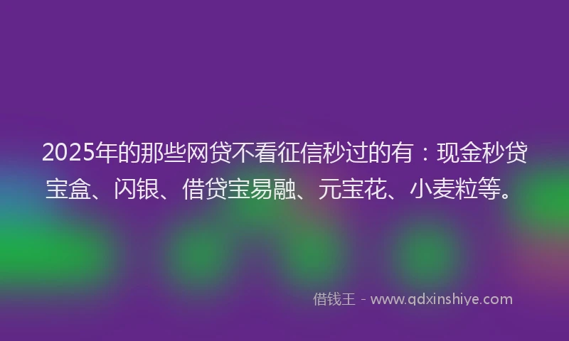 2025年的那些网贷不看征信秒过的有:现金秒贷宝盒、闪银、借贷宝易融、元宝花、小麦粒等。
