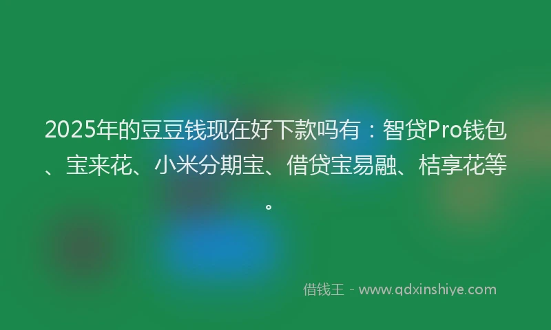 2025年的豆豆钱现在好下款吗有：智贷Pro钱包、宝来花、小米分期宝、借贷宝易融、桔享花等。