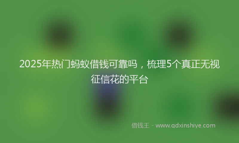 2025年热门蚂蚁借钱可靠吗，梳理5个真正无视征信花的平台