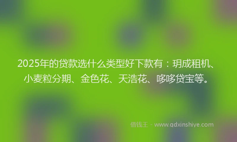 2025年的贷款选什么类型好下款有：玥成租机、小麦粒分期、金色花、天浩花、哆哆贷宝等。