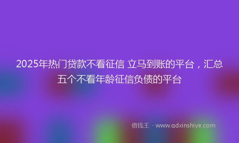 2025年热门贷款不看征信 立马到账的平台,汇总五个不看年龄征信负债的平台