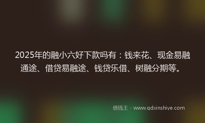 2025年的融小六好下款吗有：钱来花、现金易融通途、借贷易融途、钱贷乐借、树融分期等。