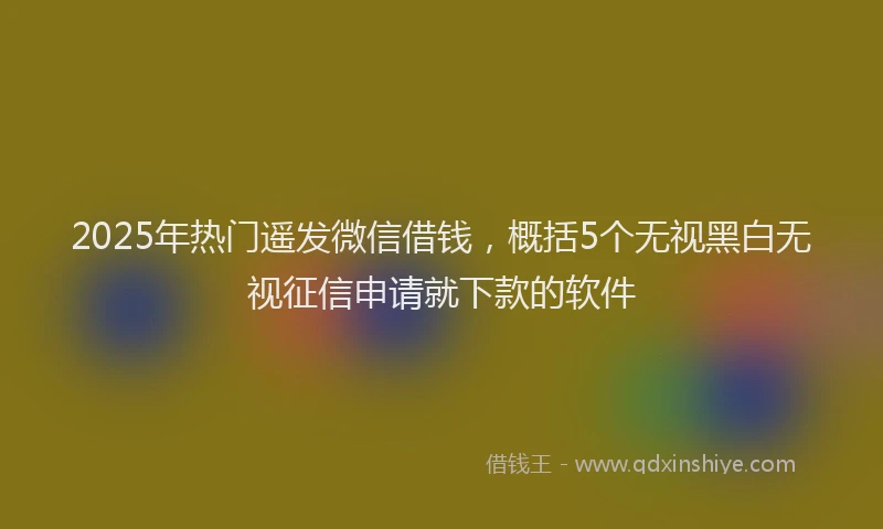 2025年热门遥发微信借钱，概括5个无视黑白无视征信申请就下款的软件
