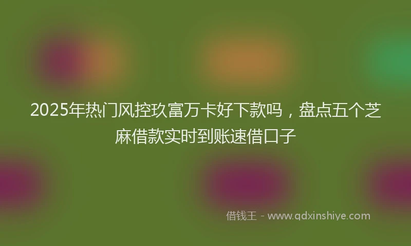 2025年热门风控玖富万卡好下款吗，盘点五个芝麻借款实时到账速借口子