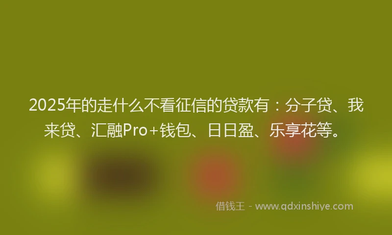 2025年的走什么不看征信的贷款有：分子贷、我来贷、汇融Pro+钱包、日日盈、乐享花等。