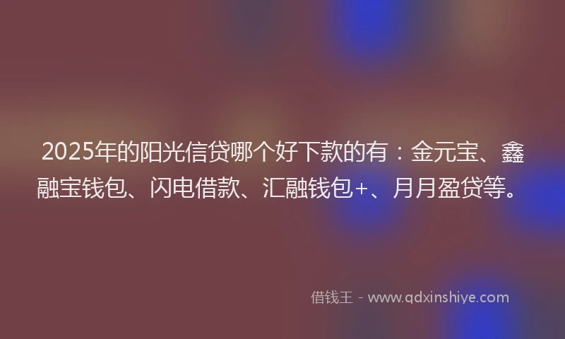 2025年的阳光信贷哪个好下款的有：金元宝、鑫融宝钱包、闪电借款、汇融钱包+、月月盈贷等。