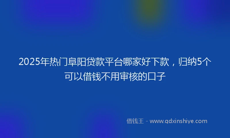 2025年热门阜阳贷款平台哪家好下款，归纳5个可以借钱不用审核的口子