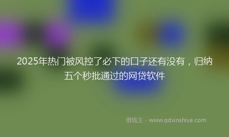 2025年热门被风控了必下的口子还有没有,归纳五个秒批通过的网贷软件