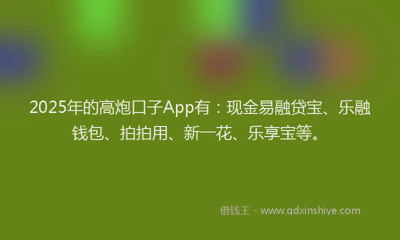 2025年的高炮口子App有：现金易融贷宝、乐融钱包、拍拍用、新一花、乐享宝等。