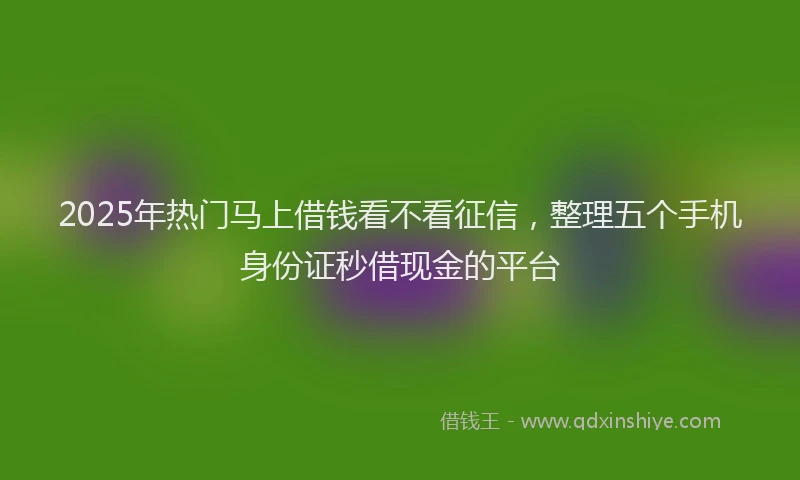 2025年热门马上借钱看不看征信,整理五个手机身份证秒借现金的平台