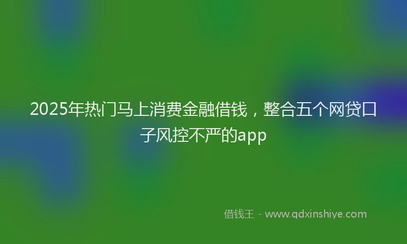 2025年热门马上消费金融借钱，整合五个网贷口子风控不严的app