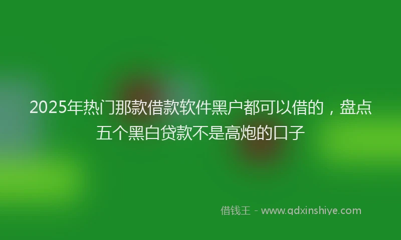 2025年热门那款借款软件黑户都可以借的,盘点五个黑白贷款不是高炮的口子