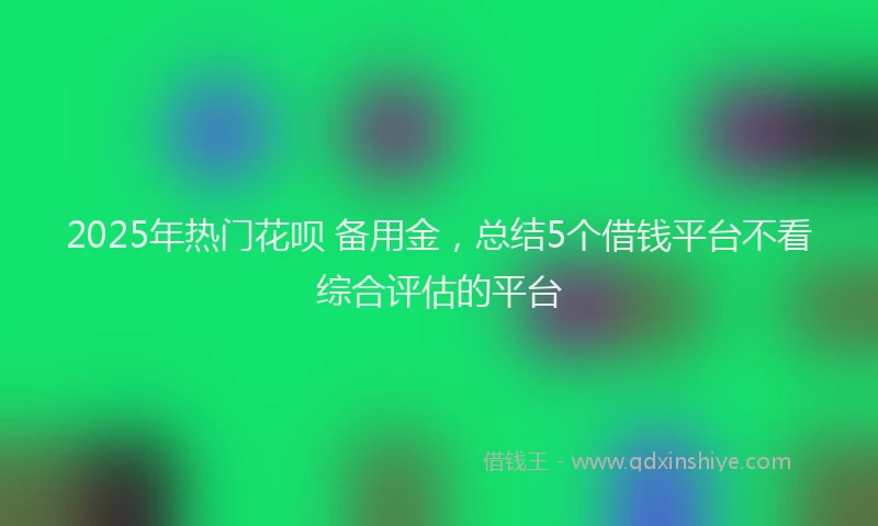 2025年热门花呗 备用金，总结5个借钱平台不看综合评估的平台