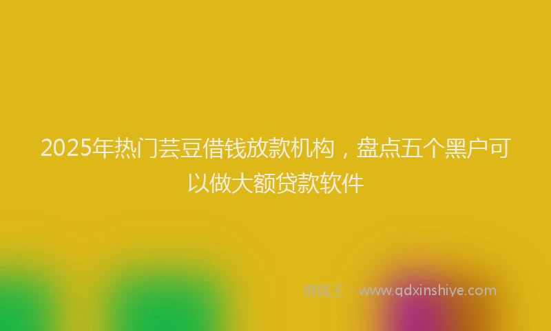 2025年热门芸豆借钱放款机构,盘点五个黑户可以做大额贷款软件