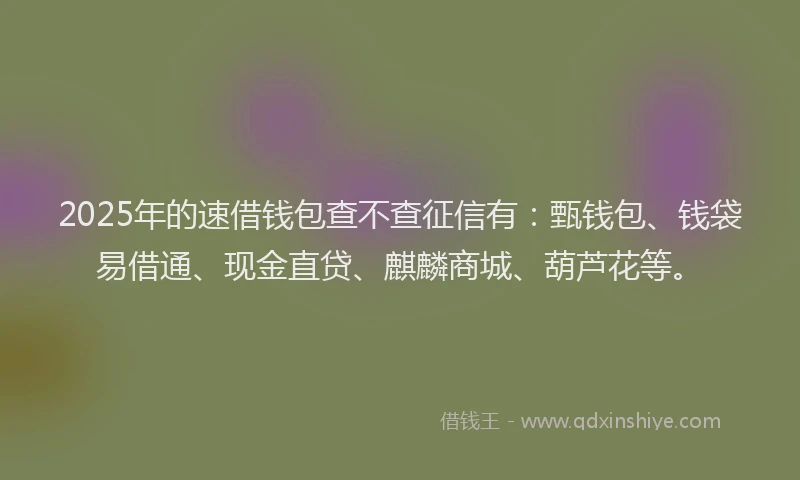 2025年的速借钱包查不查征信有：甄钱包、钱袋易借通、现金直贷、麒麟商城、葫芦花等。