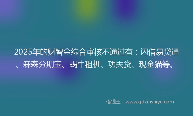 2025年的财智金综合审核不通过有：闪借易贷通、森森分期宝、蜗牛租机、功夫贷、现金猫等。