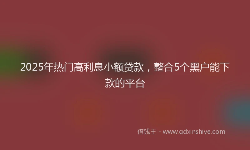2025年热门高利息小额贷款，整合5个黑户能下款的平台