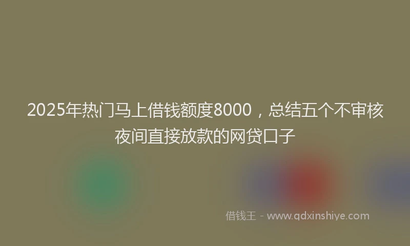 2025年热门马上借钱额度8000,总结五个不审核夜间直接放款的网贷口子