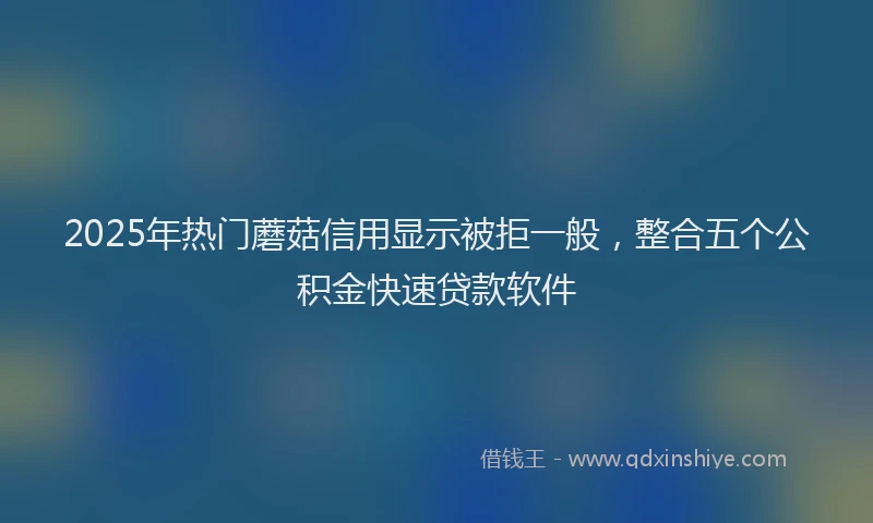 2025年热门蘑菇信用显示被拒一般，整合五个公积金快速贷款软件