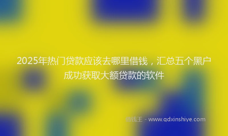 2025年热门贷款应该去哪里借钱,汇总五个黑户成功获取大额贷款的软件