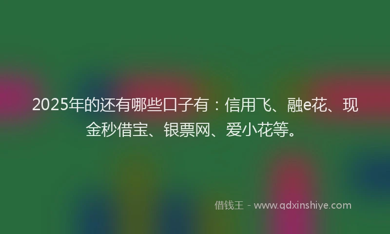 2025年的还有哪些口子有：信用飞、融e花、现金秒借宝、银票网、爱小花等。