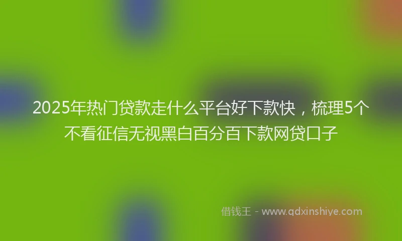 2025年热门贷款走什么平台好下款快,梳理5个不看征信无视黑白百分百下款网贷口子