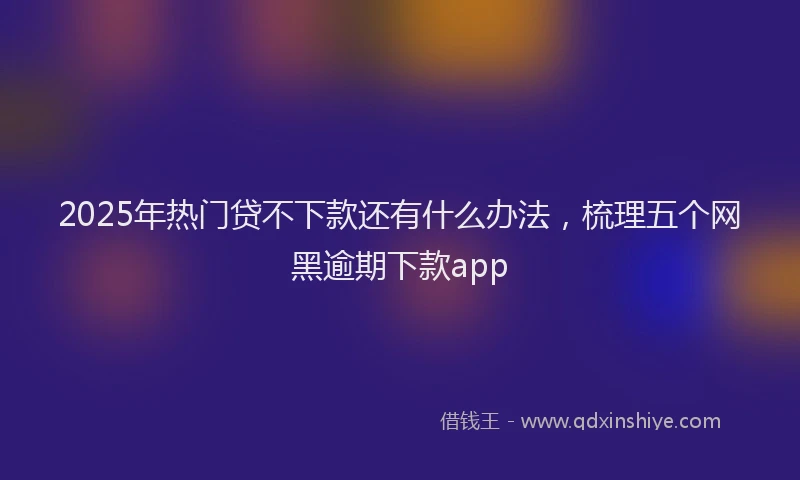 2025年热门贷不下款还有什么办法，梳理五个网黑逾期下款app