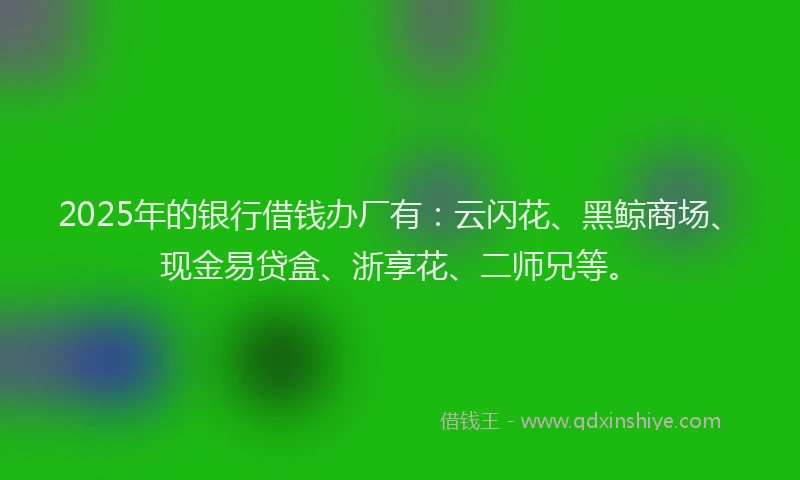 2025年的银行借钱办厂有:云闪花、黑鲸商场、现金易贷盒、浙享花、二师兄等。
