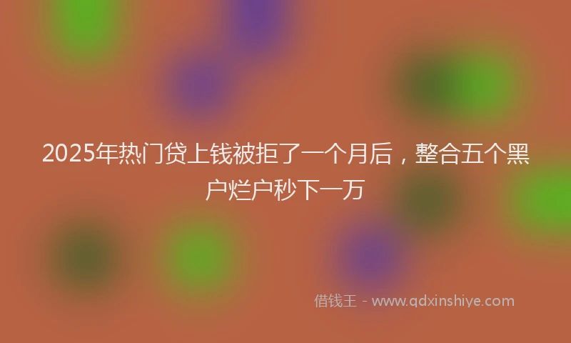 2025年热门贷上钱被拒了一个月后，整合五个黑户烂户秒下一万