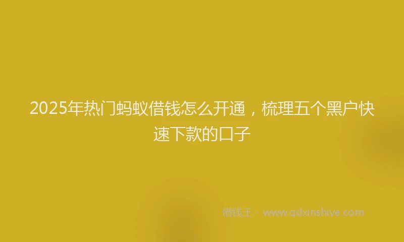 2025年热门蚂蚁借钱怎么开通，梳理五个黑户快速下款的口子