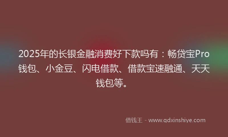 2025年的长银金融消费好下款吗有：畅贷宝Pro钱包、小金豆、闪电借款、借款宝速融通、天天钱包等。