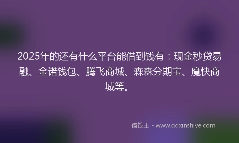 2025年的还有什么平台能借到钱有：现金秒贷易融、金诺钱包、腾飞商城、森森分期宝、魔快商城等。