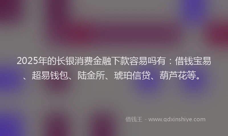 2025年的长银消费金融下款容易吗有：借钱宝易、超易钱包、陆金所、琥珀信贷、葫芦花等。