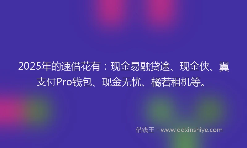 2025年的速借花有：现金易融贷途、现金侠、翼支付Pro钱包、现金无忧、橘若租机等。