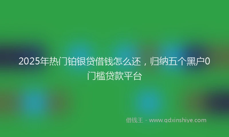 2025年热门铂银贷借钱怎么还，归纳五个黑户0门槛贷款平台