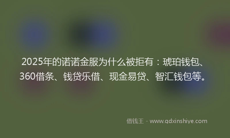 2025年的诺诺金服为什么被拒有：琥珀钱包、360借条、钱贷乐借、现金易贷、智汇钱包等。