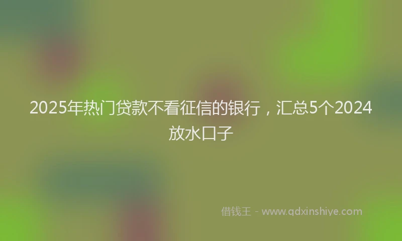 2025年热门贷款不看征信的银行，汇总5个2024放水口子