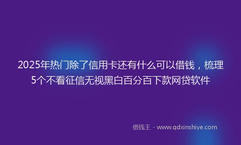 2025年热门除了信用卡还有什么可以借钱，梳理5个不看征信无视黑白百分百下款网贷软件