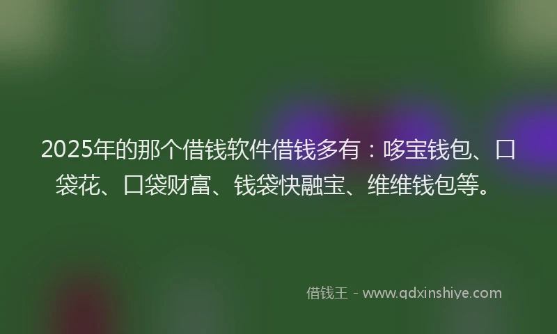 2025年的那个借钱软件借钱多有：哆宝钱包、口袋花、口袋财富、钱袋快融宝、维维钱包等。