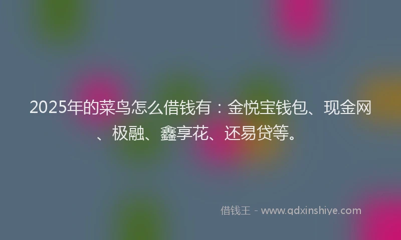 2025年的菜鸟怎么借钱有：金悦宝钱包、现金网、极融、鑫享花、还易贷等。