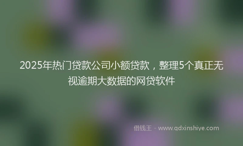 2025年热门贷款公司小额贷款，整理5个真正无视逾期大数据的网贷软件