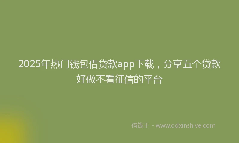 2025年热门钱包借贷款app下载，分享五个贷款好做不看征信的平台