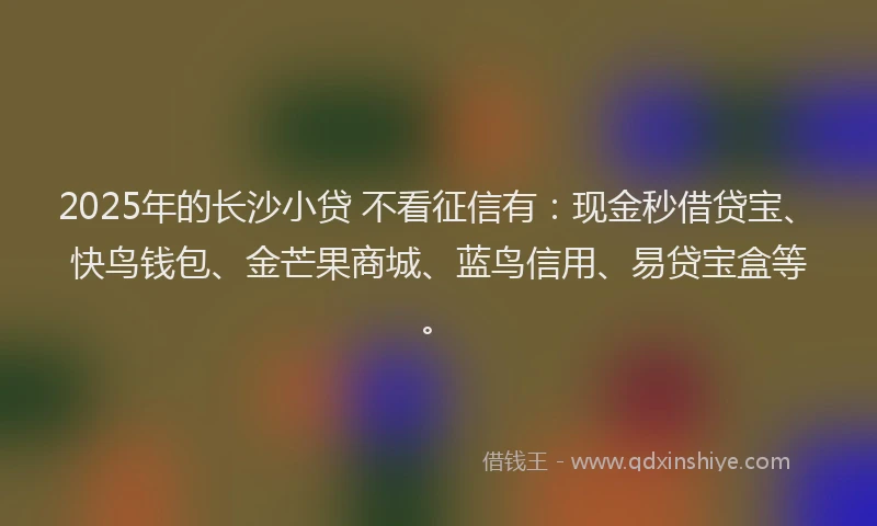 2025年的长沙小贷 不看征信有：现金秒借贷宝、快鸟钱包、金芒果商城、蓝鸟信用、易贷宝盒等。