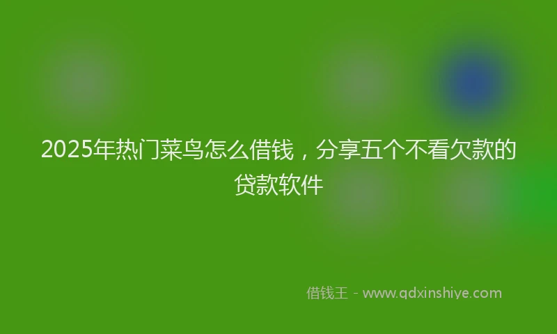 2025年热门菜鸟怎么借钱，分享五个不看欠款的贷款软件