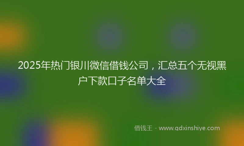 2025年热门银川微信借钱公司，汇总五个无视黑户下款口子名单大全